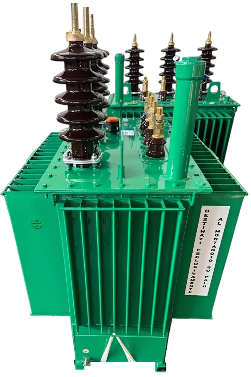 Trasformatori Elettrici MT/BT e di Potenza